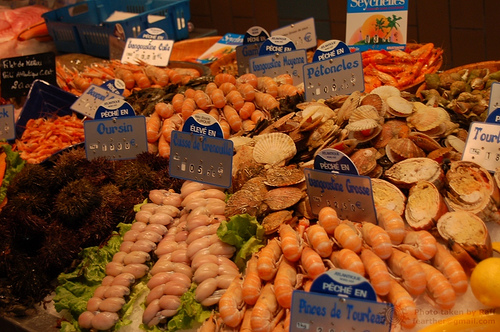 Le calendrier des fruits de mer