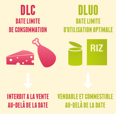 DLC vs DLUO : les dates de consommation sont-elles périmées ?