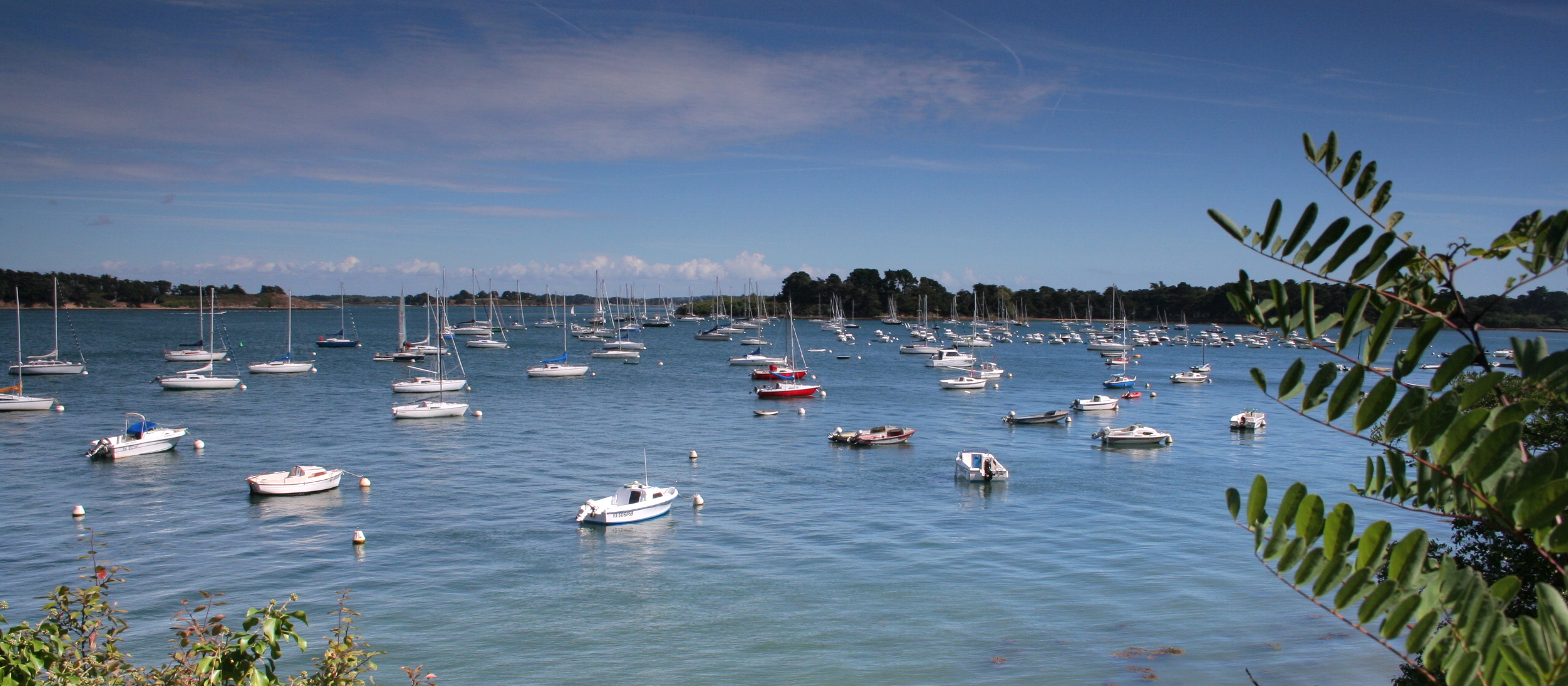 Dossier spécialités bretonnes : les produits du Morbihan