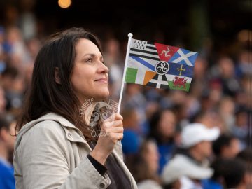 Alternative view of PROMO -34% ! Drapeau interceltique sur hampe 15 x 10 cm