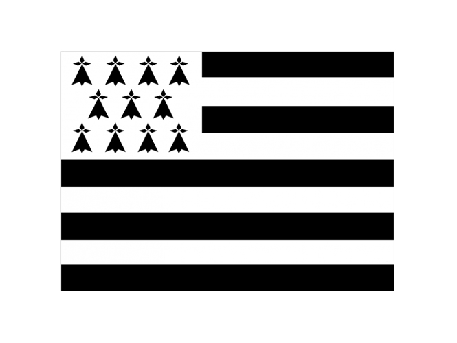 Neuf Breton Drapeau de voiture Bretagne 45x30cm France 30 x 45 cm Carflag breton 