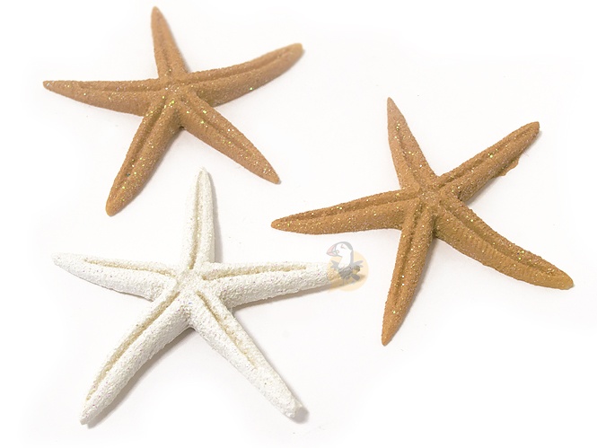 etoile-mer-deco