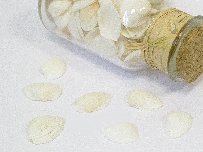 JDBlissful 20PCS Coquillage Décoration, Grande Taille Environ 6-8 Cm, Coquille Saint Jacques Vide Shell Scallop Poche De Pétoncle Décoration De Cuisine Assiette Collation Décoration (6-8