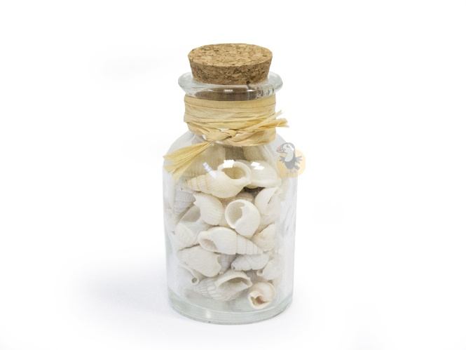 flacon-petits-coquillages-deco