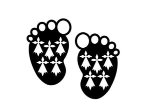 Autocollants Bretons Bebe A Bord Stickers Voiture Bebes Bzh A Bord