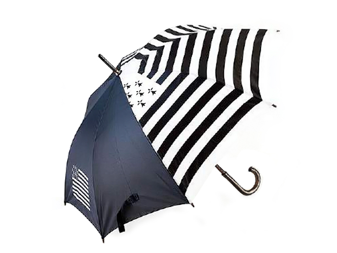 Parapluie Canne Auto Noir