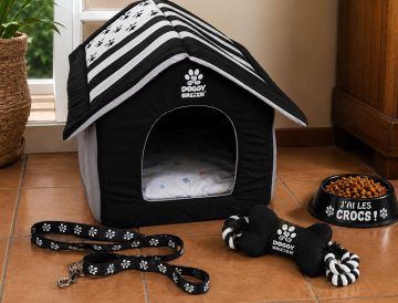 Accessoires pour animaux