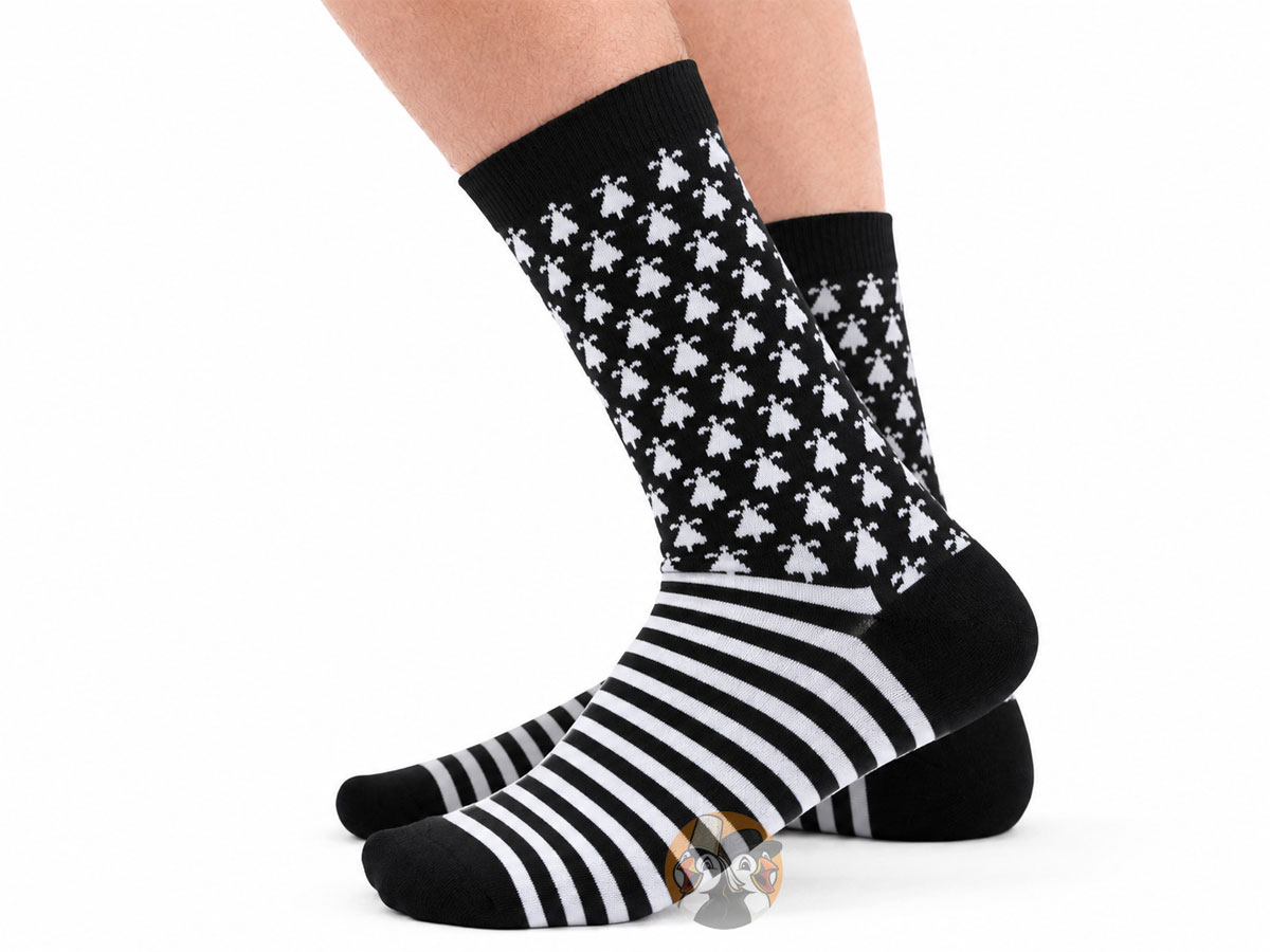 Chaussettes Bretagne Hermines