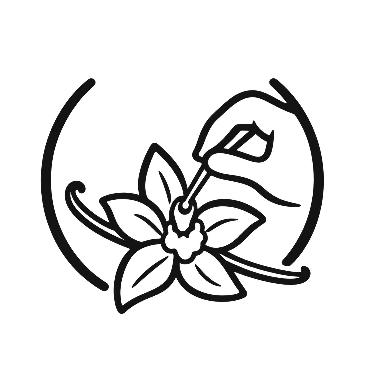 Pollinisation manuelle