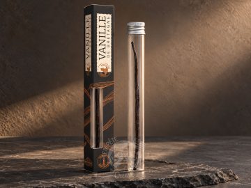 Vanille de Bretagne – Gousse d'exception cultivée en Bretagne – Image 2